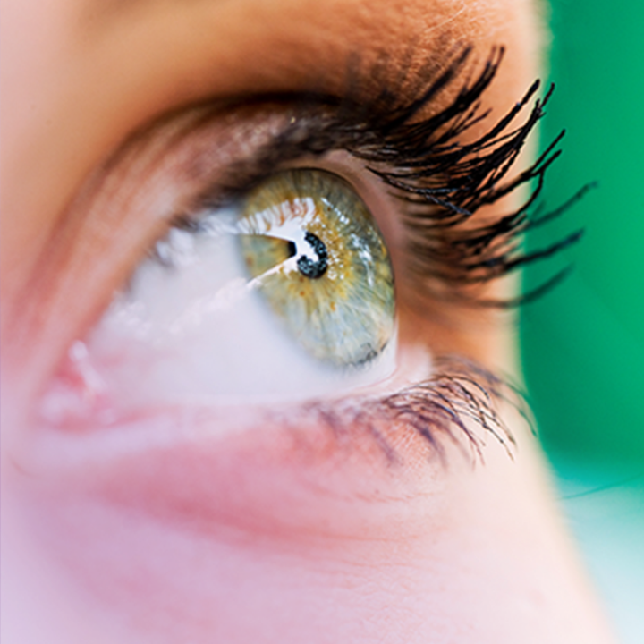 Close up of a green eye looking up