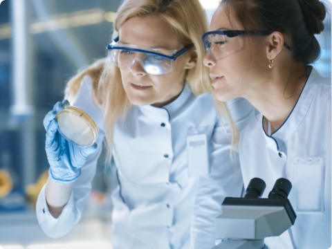 Twee vrouwelijke wetenschappers met laboratoriumjassen, veiligheidsbrillen en handschoenen onderzoeken een petrischaaltje in een laboratorium. De ene houdt het schaaltje omhoog terwijl de andere voorover leunt om te observeren. Een microscoop ligt op een tafel vlakbij en op de achtergrond staat laboratoriumapparatuur.